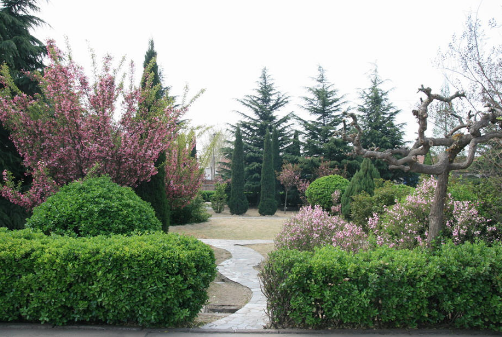 洛阳市中医药学校